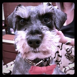 Meet your Posher, Janet